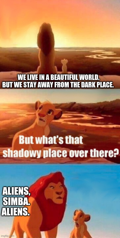 Simba Shadowy Place | WE LIVE IN A BEAUTIFUL WORLD. BUT WE STAY AWAY FROM THE DARK PLACE. ALIENS, SIMBA. ALIENS. | image tagged in memes,simba shadowy place | made w/ Imgflip meme maker
