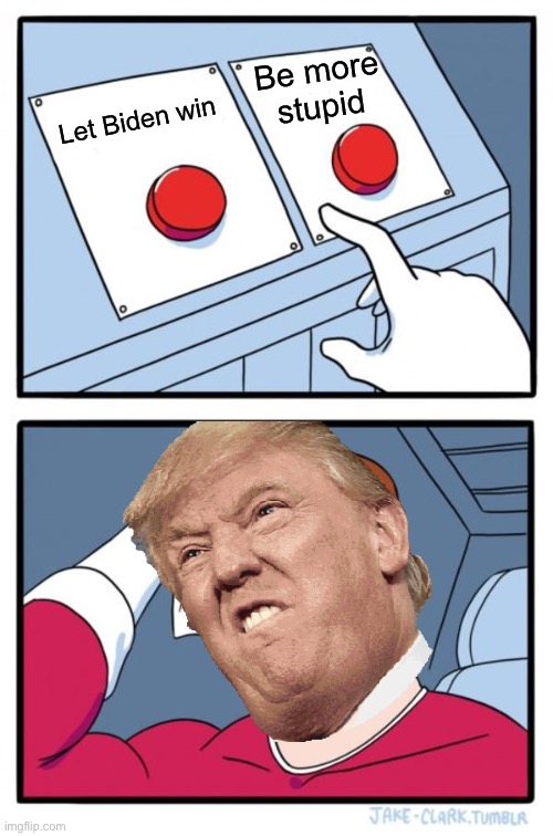 Trump Decision | Be more stupid; Let Biden win | image tagged in donald trump | made w/ Imgflip meme maker