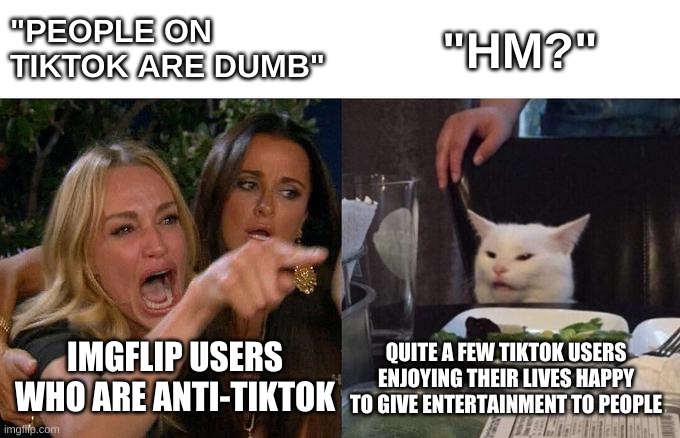 Woman Yelling At Cat | "PEOPLE ON TIKTOK ARE DUMB"; "HM?"; IMGFLIP USERS WHO ARE ANTI-TIKTOK; QUITE A FEW TIKTOK USERS ENJOYING THEIR LIVES HAPPY TO GIVE ENTERTAINMENT TO PEOPLE | image tagged in memes,woman yelling at cat | made w/ Imgflip meme maker