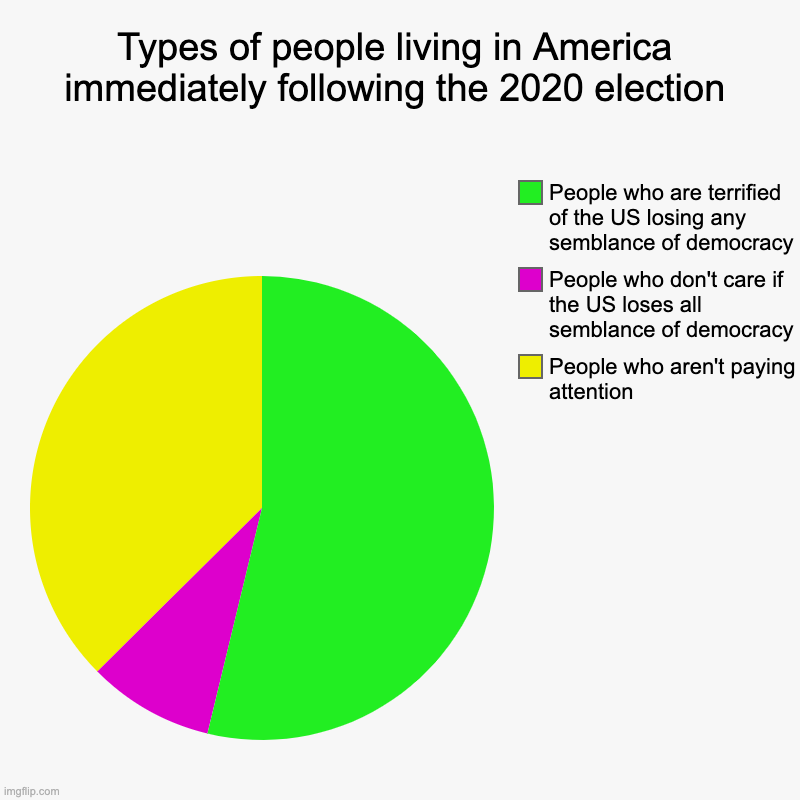 How do you think I did with my proportions? | Types of people living in America immediately following the 2020 election | People who aren't paying attention, People who don't care if the | image tagged in charts,pie charts | made w/ Imgflip chart maker