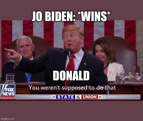 You weren’t supposed to do that | JO BIDEN: *WINS*; DONALD | image tagged in you weren t supposed to do that | made w/ Imgflip meme maker
