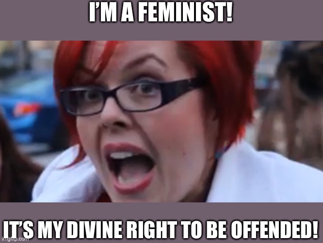 Big Red the Feminazi | I’M A FEMINIST! IT’S MY DIVINE RIGHT TO BE OFFENDED! | image tagged in big red the feminazi | made w/ Imgflip meme maker