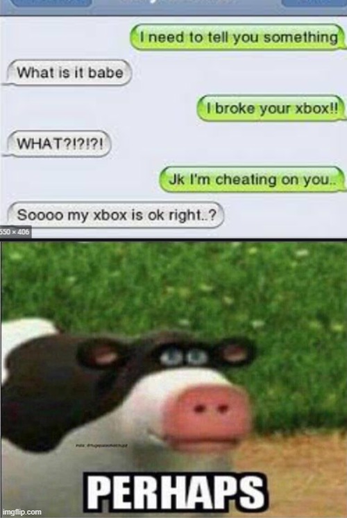 Hope his xbox is ok! | image tagged in perhaps cow | made w/ Imgflip meme maker