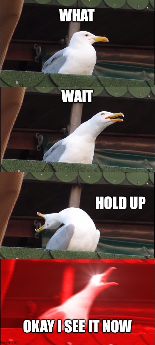 Inhaling Seagull Meme | WHAT WAIT HOLD UP OKAY I SEE IT NOW | image tagged in memes,inhaling seagull | made w/ Imgflip meme maker