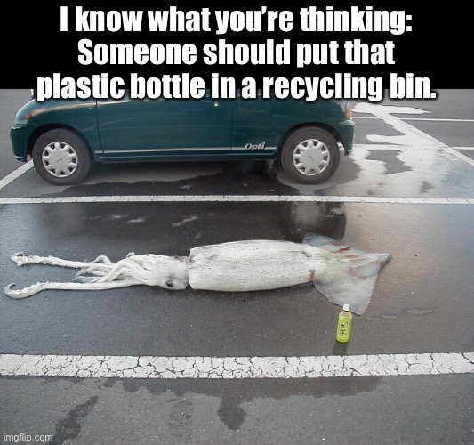 Squid Parking | I know what you’re thinking: Someone should put that plastic bottle in a recycling bin. | image tagged in funny memes,i know what you are thinking,squid,recycling | made w/ Imgflip meme maker