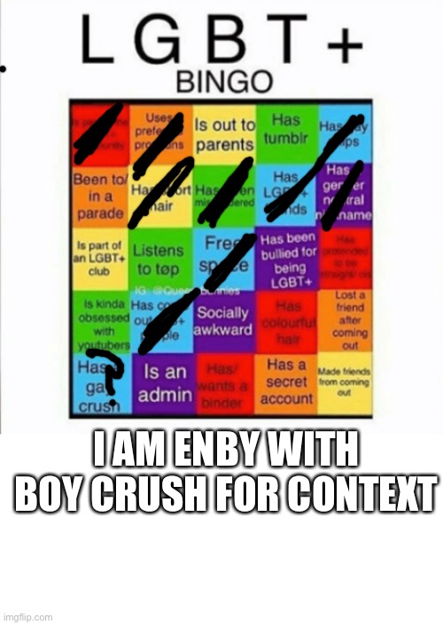 I AM ENBY WITH BOY CRUSH FOR CONTEXT | image tagged in lgbt bingo,blank white template | made w/ Imgflip meme maker