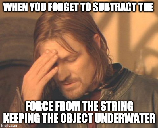 Forgot the string | WHEN YOU FORGET TO SUBTRACT THE; FORCE FROM THE STRING KEEPING THE OBJECT UNDERWATER | image tagged in memes,frustrated boromir | made w/ Imgflip meme maker