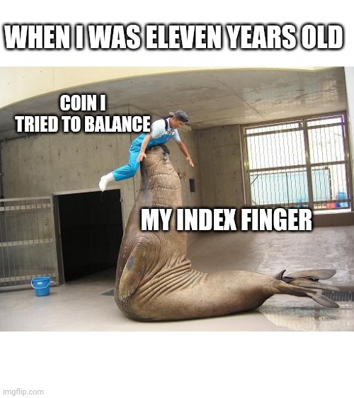 Meme made by @spacewizard_t on Twitter | WHEN I WAS ELEVEN YEARS OLD; COIN I TRIED TO BALANCE; MY INDEX FINGER | image tagged in seal | made w/ Imgflip meme maker