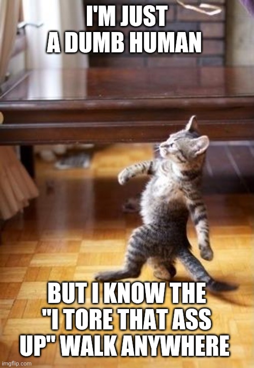 Cool Cat Stroll | I'M JUST A DUMB HUMAN; BUT I KNOW THE "I TORE THAT ASS UP" WALK ANYWHERE | image tagged in memes,cool cat stroll | made w/ Imgflip meme maker