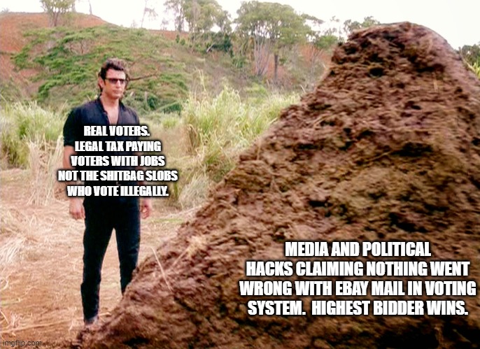 We get what we deserve.  We really do. | REAL VOTERS.  LEGAL TAX PAYING VOTERS WITH JOBS NOT THE SHITBAG SLOBS WHO VOTE ILLEGALLY. MEDIA AND POLITICAL HACKS CLAIMING NOTHING WENT WRONG WITH EBAY MAIL IN VOTING SYSTEM.  HIGHEST BIDDER WINS. | image tagged in memes poop jurassic park | made w/ Imgflip meme maker