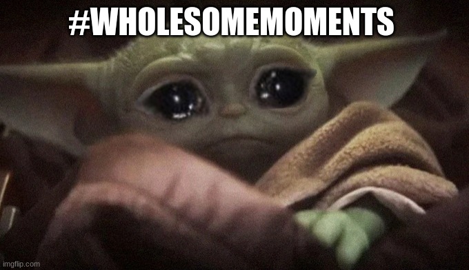 Crying Baby Yoda | #WHOLESOMEMOMENTS | image tagged in crying baby yoda | made w/ Imgflip meme maker