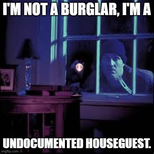 Burglar  | I'M NOT A BURGLAR, I'M A; UNDOCUMENTED HOUSEGUEST. | image tagged in burglar | made w/ Imgflip meme maker