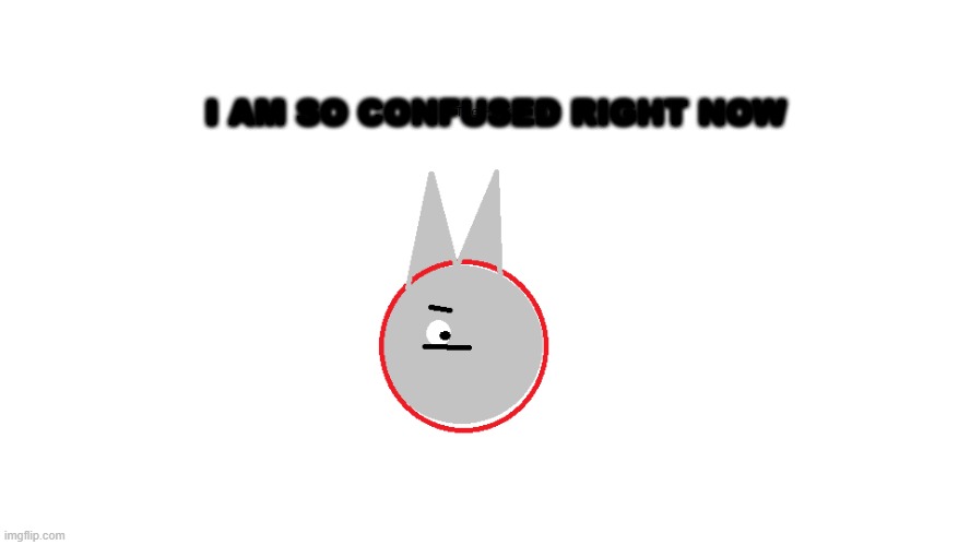 The first Confused Cat image | I AM SO CONFUSED RIGHT NOW | image tagged in confused cat | made w/ Imgflip meme maker