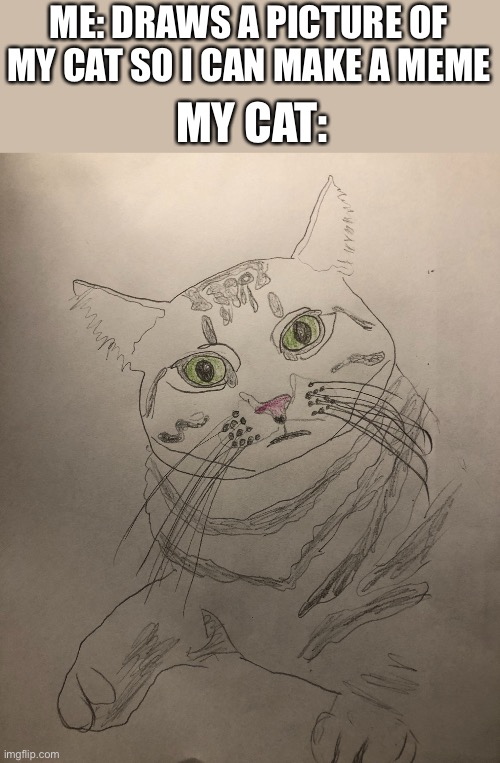... | ME: DRAWS A PICTURE OF MY CAT SO I CAN MAKE A MEME; MY CAT: | image tagged in cat | made w/ Imgflip meme maker