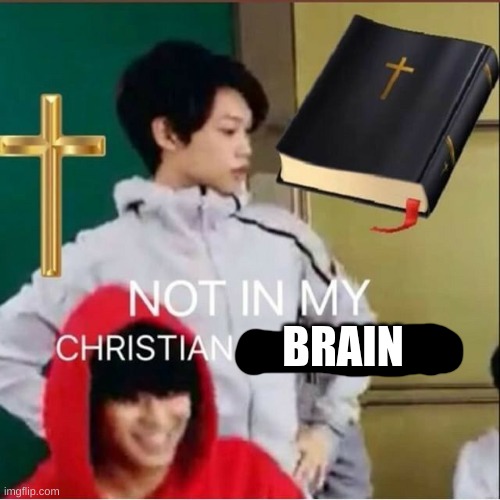 Not in my Christian household | BRAIN | image tagged in not in my christian household | made w/ Imgflip meme maker