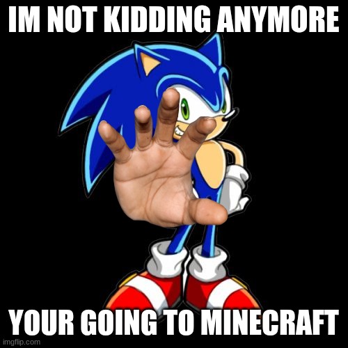 You're Too Slow Sonic Meme | IM NOT KIDDING ANYMORE YOUR GOING TO MINECRAFT | image tagged in memes,you're too slow sonic | made w/ Imgflip meme maker
