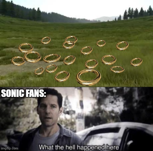 Woah what happened to sonic? | SONIC FANS: | image tagged in what the hell happened here,funny | made w/ Imgflip meme maker