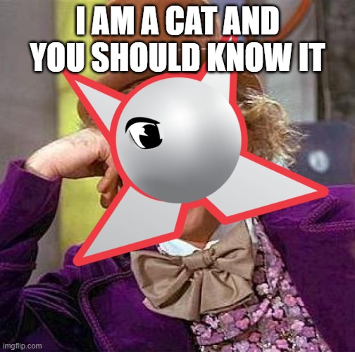 Cat | I AM A CAT AND YOU SHOULD KNOW IT | image tagged in creepy condescending wonka,cats | made w/ Imgflip meme maker