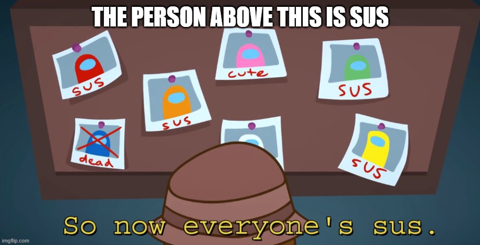 THE PERSON ABOVE THIS IS SUS | made w/ Imgflip meme maker
