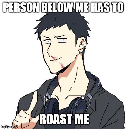 Emo: hold up | PERSON BELOW ME HAS TO; ROAST ME | image tagged in emo hold up | made w/ Imgflip meme maker