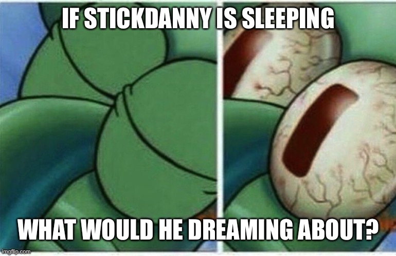Squidward | IF STICKDANNY IS SLEEPING; WHAT WOULD HE DREAMING ABOUT? | image tagged in squidward | made w/ Imgflip meme maker