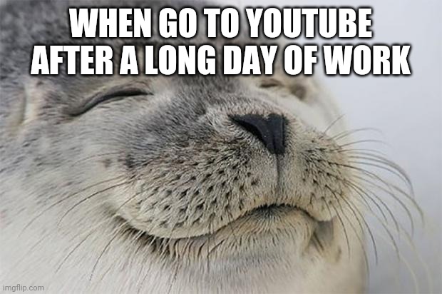 Satisfied Seal | WHEN GO TO YOUTUBE AFTER A LONG DAY OF WORK | image tagged in memes,satisfied seal | made w/ Imgflip meme maker