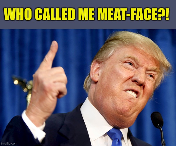 Donald Trump | WHO CALLED ME MEAT-FACE?! | image tagged in donald trump | made w/ Imgflip meme maker