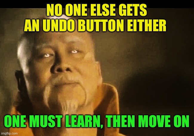 Master Po says | NO ONE ELSE GETS AN UNDO BUTTON EITHER ONE MUST LEARN, THEN MOVE ON | image tagged in master po says | made w/ Imgflip meme maker