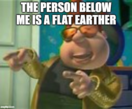carl wheezer | THE PERSON BELOW ME IS A FLAT EARTHER | image tagged in carl wheezer | made w/ Imgflip meme maker