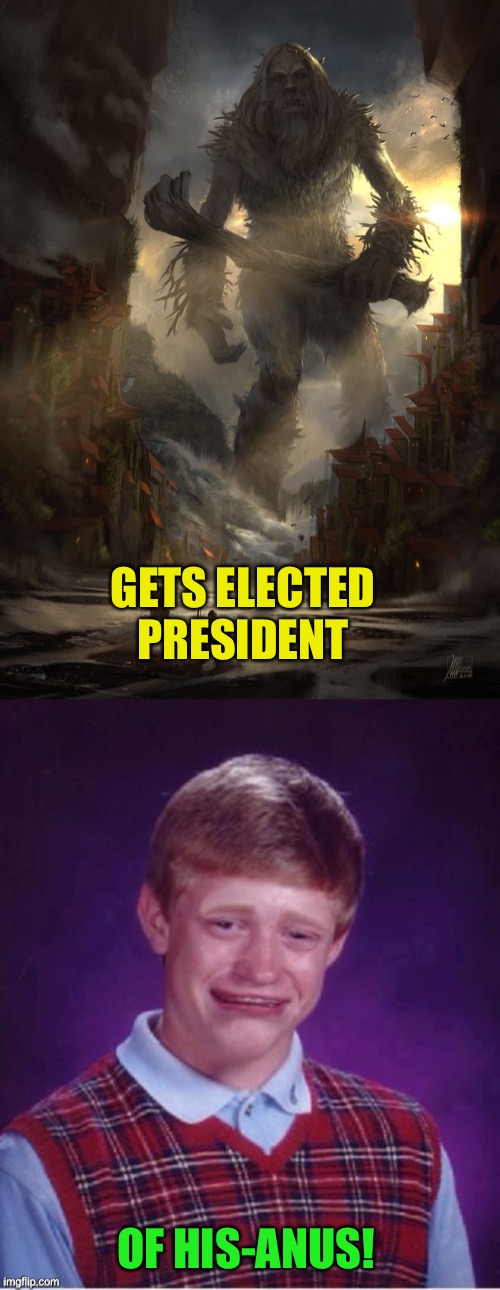 GETS ELECTED PRESIDENT OF HIS-ANUS! | image tagged in giant thing vs small thing,sad brian | made w/ Imgflip meme maker