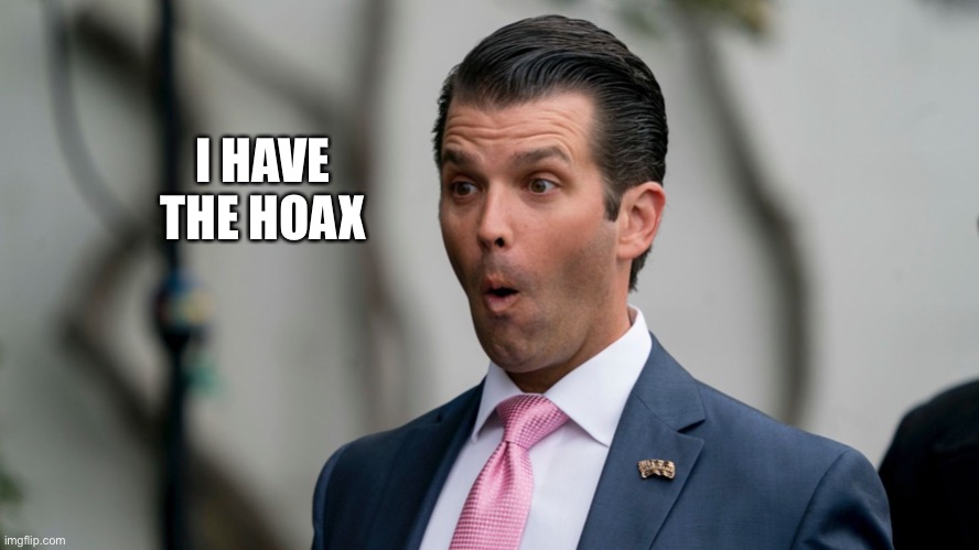 Fredo got the hoax | I HAVE
THE HOAX | image tagged in donald trump jr looking smarter than usual,covid-19,hoax,roflmao | made w/ Imgflip meme maker