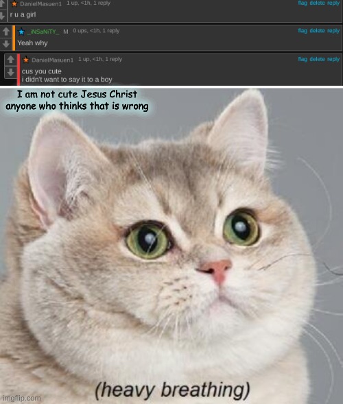 I am not cute Jesus Christ anyone who thinks that is wrong | image tagged in memes,heavy breathing cat | made w/ Imgflip meme maker