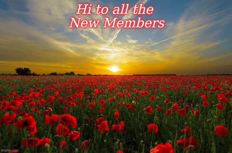 Hi to all the New Members | Hi to all the 
New Members | image tagged in adventure coordinators,hi,new members,welcome,memes | made w/ Imgflip meme maker