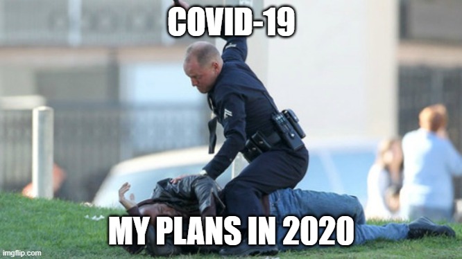 Cop Beating | COVID-19; MY PLANS IN 2020 | image tagged in cop beating | made w/ Imgflip meme maker