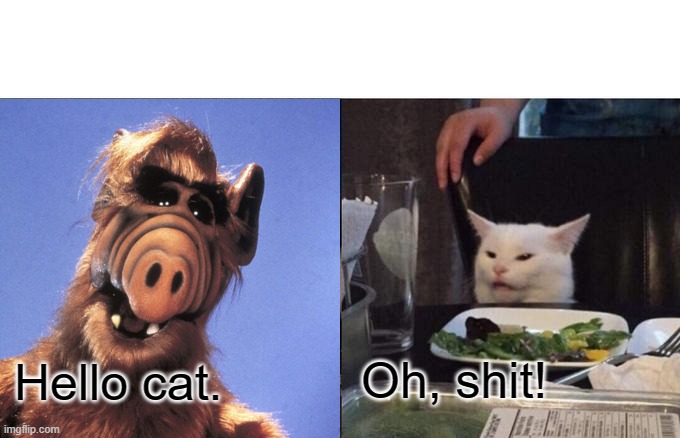 Woman Yelling At Cat | Oh, shit! Hello cat. | image tagged in memes,woman yelling at cat | made w/ Imgflip meme maker