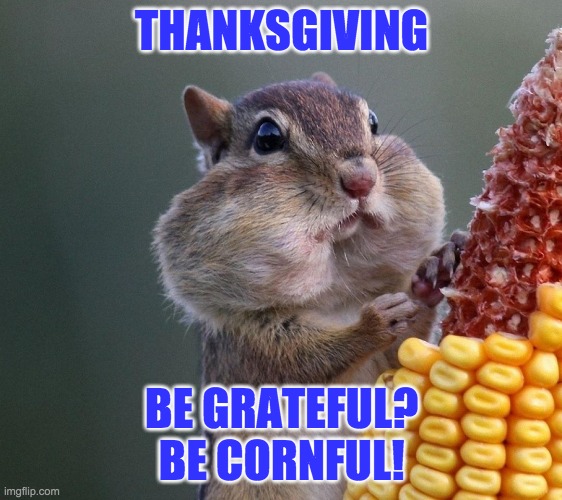 Happy Thanksgiving | THANKSGIVING; BE GRATEFUL?
BE CORNFUL! | image tagged in thanksgiving squirrel,squirrel,thanksgiving,holidays | made w/ Imgflip meme maker