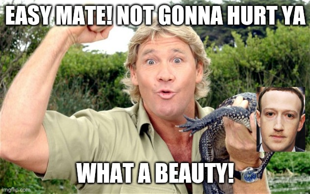 Steve Irwin | EASY MATE! NOT GONNA HURT YA; WHAT A BEAUTY! | image tagged in steve irwin | made w/ Imgflip meme maker