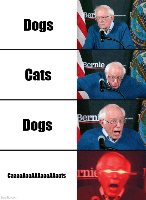 Bernie Sanders reaction (nuked) | Dogs; Cats; Dogs; CaaaaAaaAAAaaaAAaats | image tagged in cats,bernie sanders | made w/ Imgflip meme maker