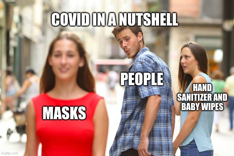covid in a nutshell | COVID IN A NUTSHELL; PEOPLE; HAND SANITIZER AND BABY WIPES; MASKS | image tagged in memes,distracted boyfriend,covid-19 | made w/ Imgflip meme maker