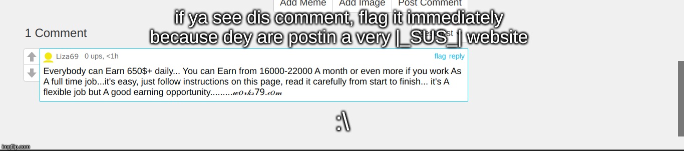 SERIOUSLY IM WARNIN YALL | if ya see dis comment, flag it immediately 
because dey are postin a very |_SUS_| website :\ | image tagged in idk,sus,cyan_official | made w/ Imgflip meme maker