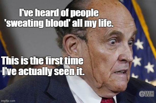 Don't sweat it, Rudy. | I've heard of people
'sweating blood' all my life. This is the first time 
I've actually seen it. @WH | image tagged in rudy,rudy giuliani,sweating,sweating blood | made w/ Imgflip meme maker