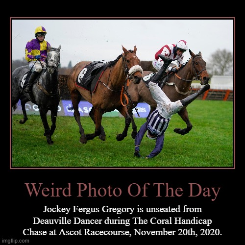 Ascot, England | Weird Photo Of The Day | Jockey Fergus Gregory is unseated from Deauville Dancer during The Coral Handicap Chase at Ascot Racecourse, Novemb | image tagged in demotivationals,sports,horse racing,england,weird photo of the day,photo of the day | made w/ Imgflip demotivational maker