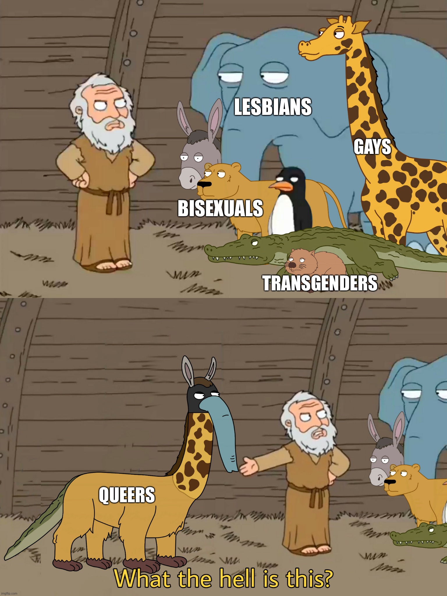 What the hell is this with more animals | LESBIANS; GAYS; BISEXUALS; TRANSGENDERS; QUEERS | image tagged in what the hell is this,memes,so true memes,dank memes,political correctness,homophobic | made w/ Imgflip meme maker