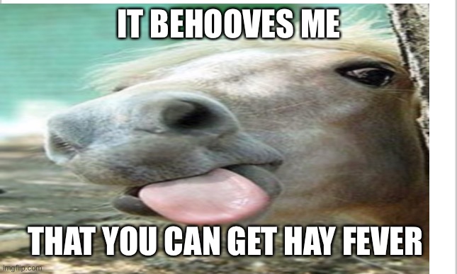 Re | IT BEHOOVES ME; THAT YOU CAN GET HAY FEVER | image tagged in puns | made w/ Imgflip meme maker