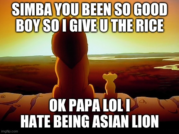 Lion King | SIMBA YOU BEEN SO GOOD BOY SO I GIVE U THE RICE; OK PAPA LOL I HATE BEING ASIAN LION | image tagged in memes,lion king | made w/ Imgflip meme maker