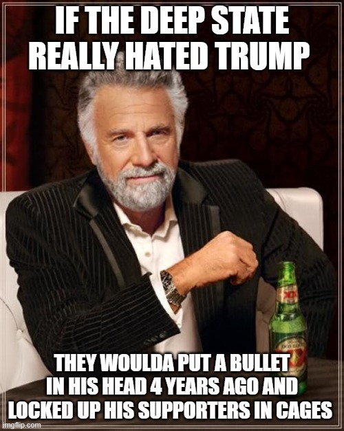 The Most Interesting Man In The World | IF THE DEEP STATE REALLY HATED TRUMP; THEY WOULDA PUT A BULLET IN HIS HEAD 4 YEARS AGO AND LOCKED UP HIS SUPPORTERS IN CAGES | image tagged in memes,the most interesting man in the world | made w/ Imgflip meme maker