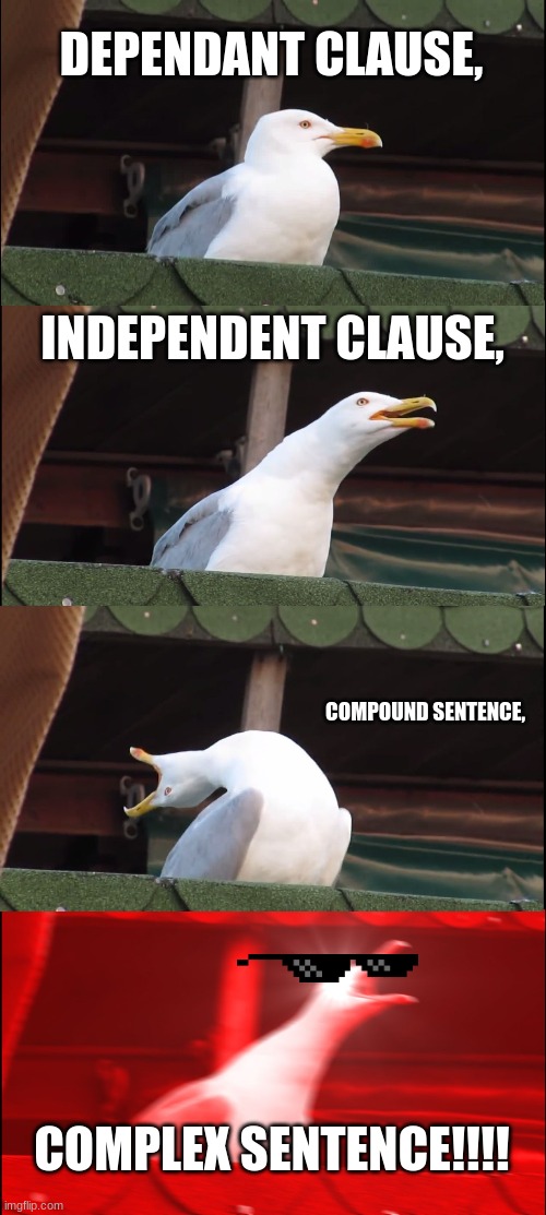 Sentences | DEPENDANT CLAUSE, INDEPENDENT CLAUSE, COMPOUND SENTENCE, COMPLEX SENTENCE!!!! | image tagged in memes,inhaling seagull | made w/ Imgflip meme maker