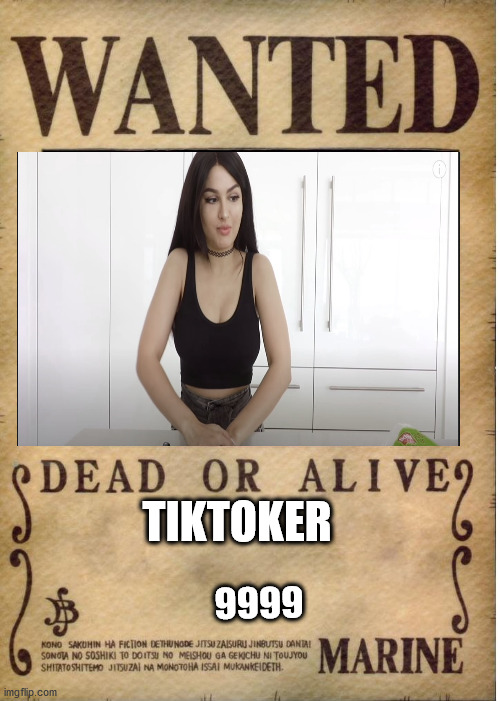 One piece wanted poster template | TIKTOKER; 9999 | image tagged in one piece wanted poster template | made w/ Imgflip meme maker