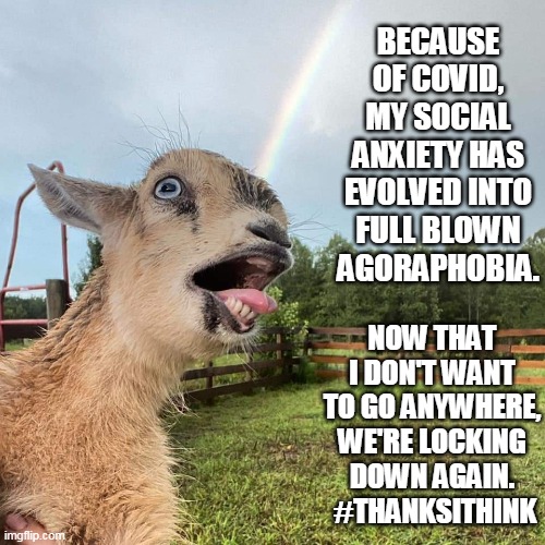 BECAUSE OF COVID, MY SOCIAL ANXIETY HAS EVOLVED INTO FULL BLOWN AGORAPHOBIA. NOW THAT I DON'T WANT TO GO ANYWHERE, WE'RE LOCKING DOWN AGAIN.  #THANKSITHINK | image tagged in memes | made w/ Imgflip meme maker