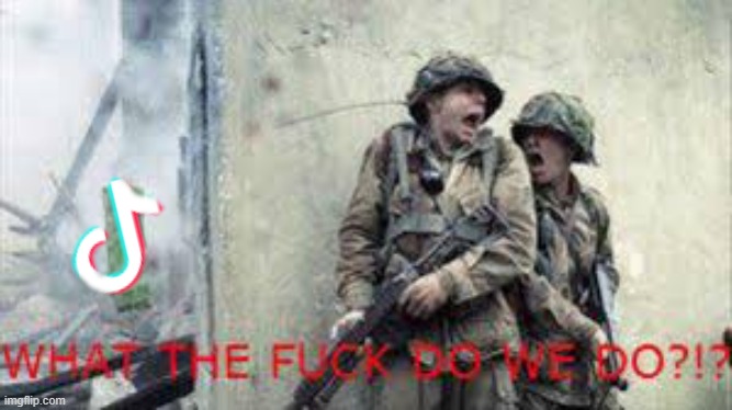 wtf do we do | image tagged in memes,wtf do we do | made w/ Imgflip meme maker